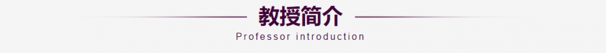 科研团队-