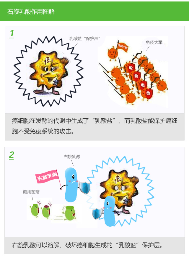 BIO-巴西蘑菇右旋乳酸胶囊_553-
