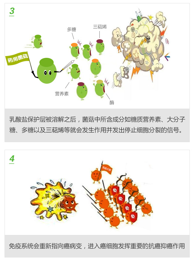 BIO-巴西蘑菇右旋乳酸胶囊_553-