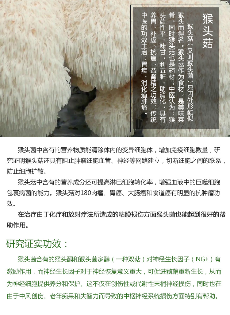 BIO-生物ABM-HERICIUM蘑菇粉胶囊_343-