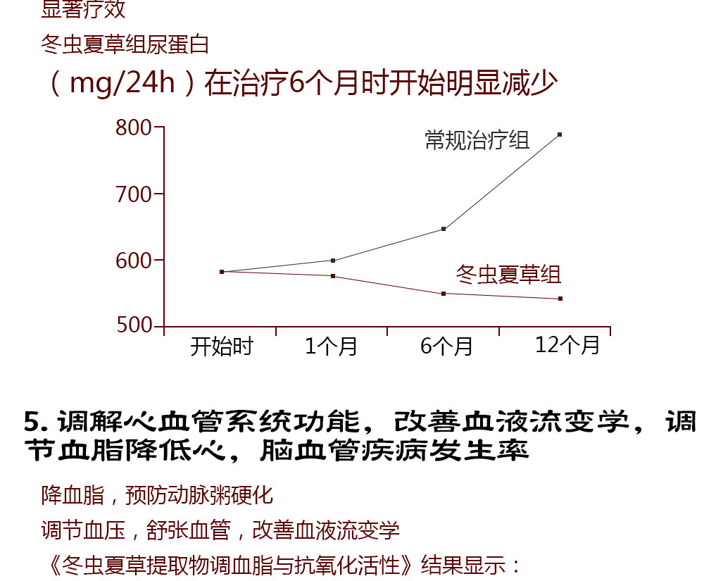 BIO-虫草粉胶囊_080-