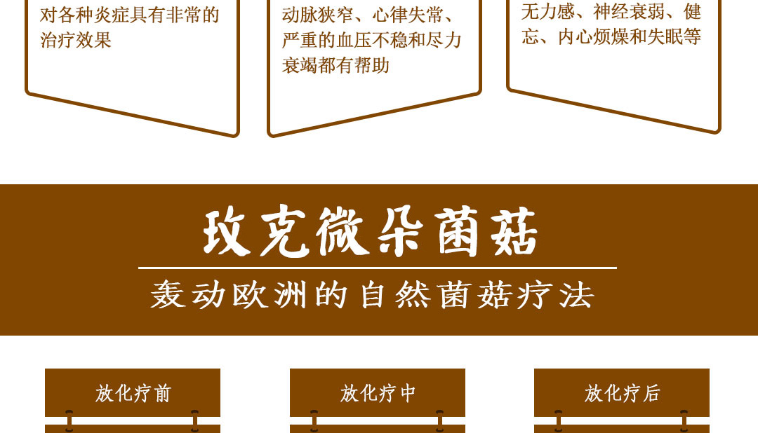 BIO-灵芝粉胶囊_040-