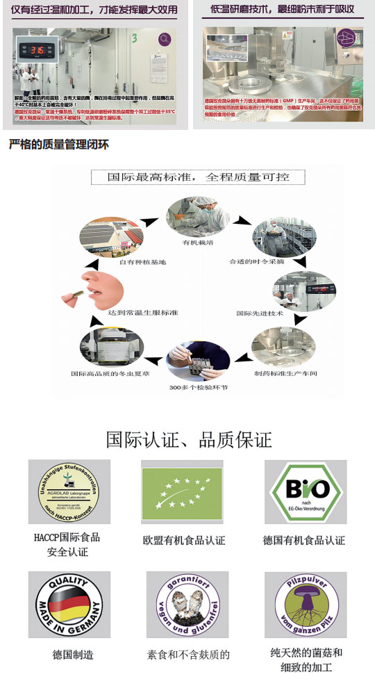 药用菌菇-栽培和加工-