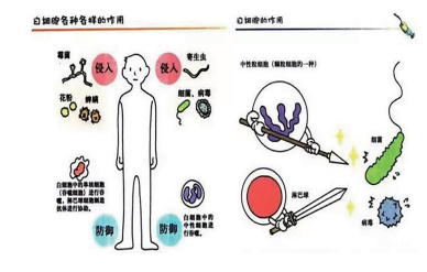 关于化疗哪些你可能不知道的事情……-