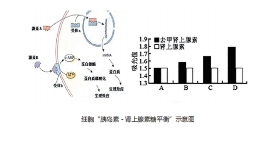 癌：是一种为了保证细胞生存的自我保护-